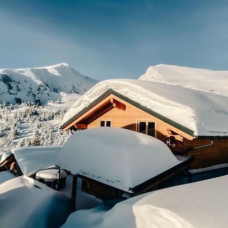 Heidi Chalets Falkert Heidialm - Chalets Bergwinter Patergassen Exterior photo