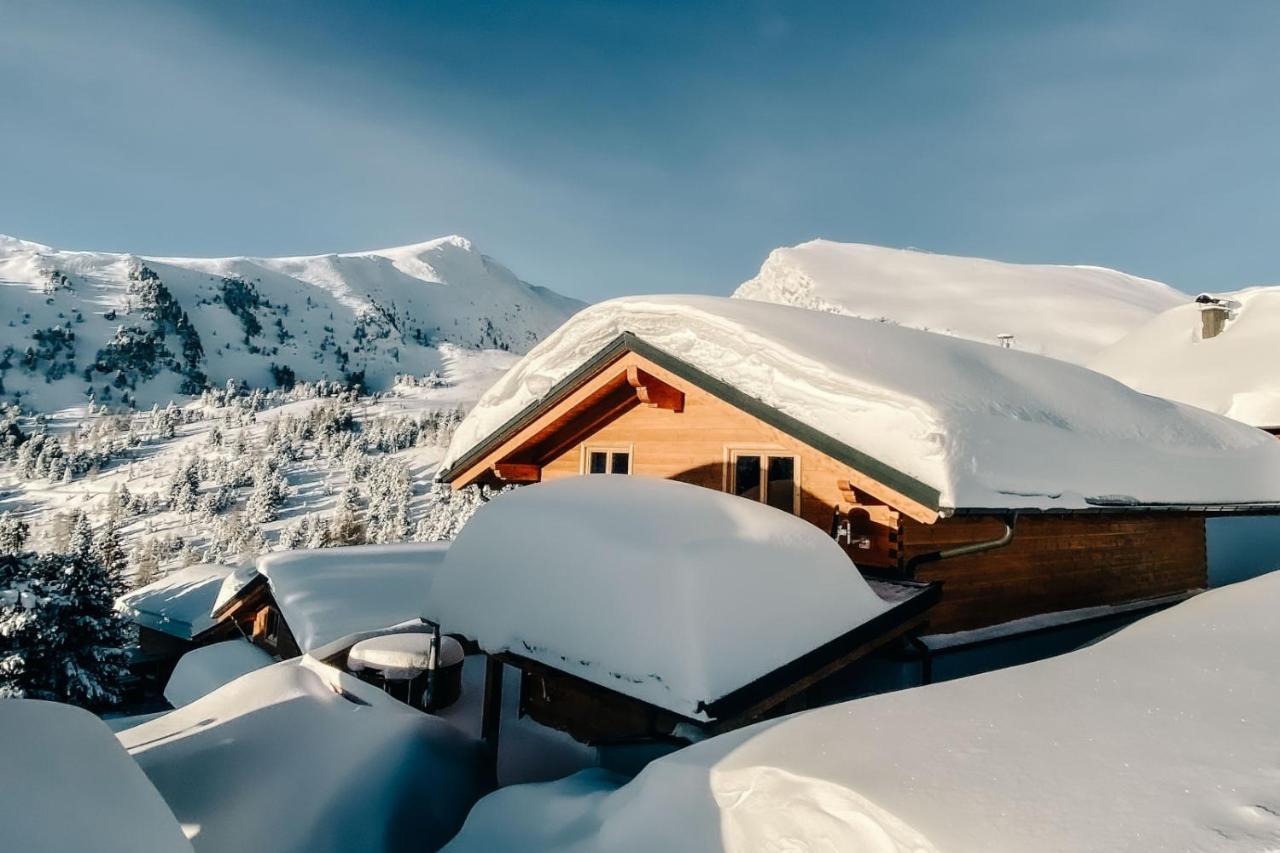 Heidi Chalets Falkert Heidialm - Chalets Bergwinter Patergassen Exterior photo
