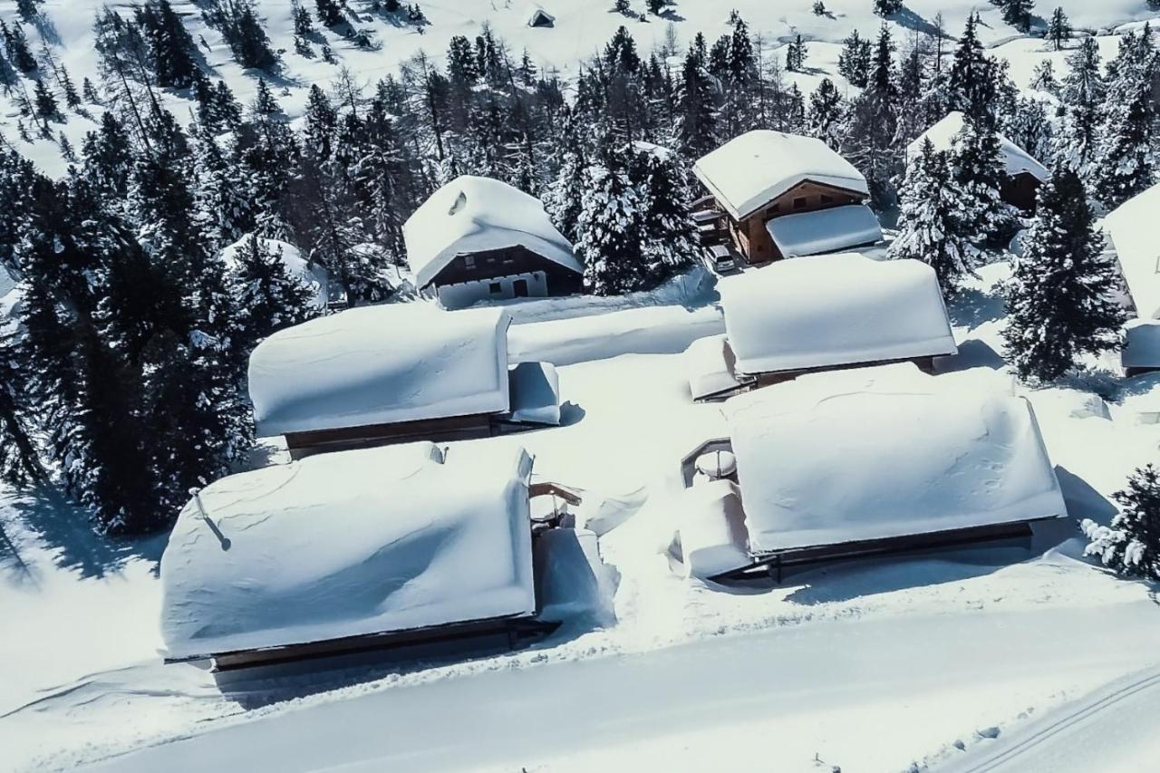 Heidi Chalets Falkert Heidialm - Chalets Bergwinter Patergassen Exterior photo